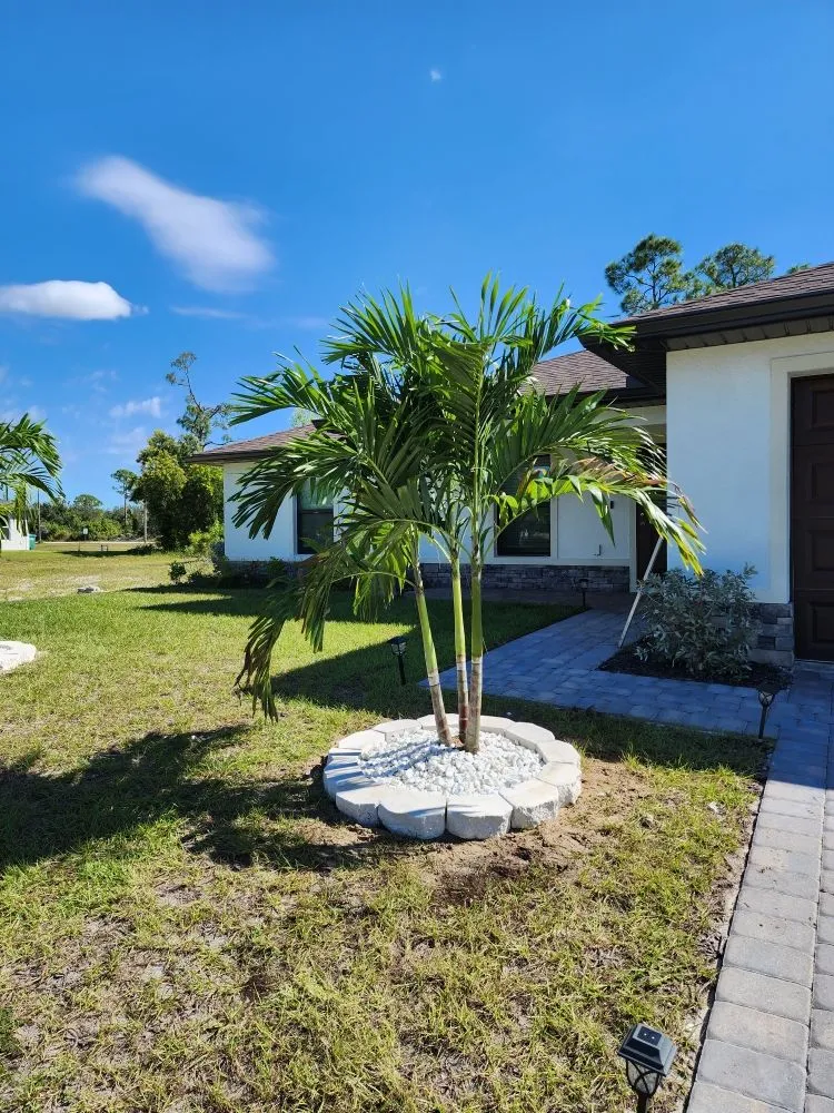 Expert yard cleanup service with custom design across Fort Myers, FL - Titos Landscaping Services