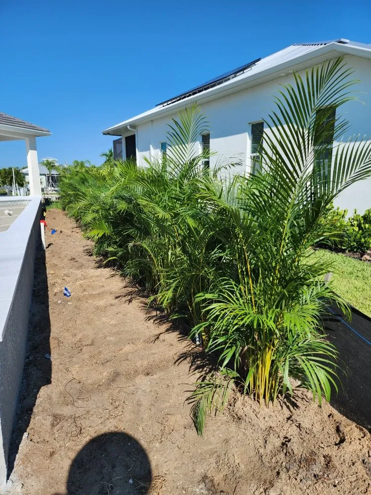Custom yard maintenance for year-round maintenance across Fort Myers, FL - Titos Landscaping Services
