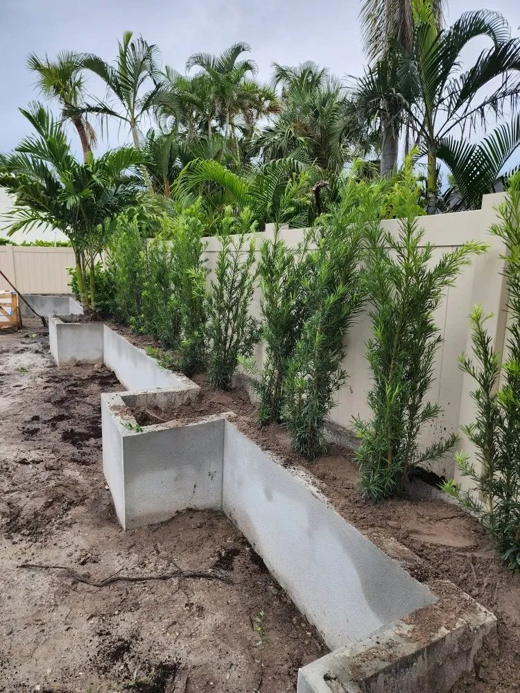 Trusted landscape design for beautiful yards across Fort Myers, FL - Titos Landscaping Services