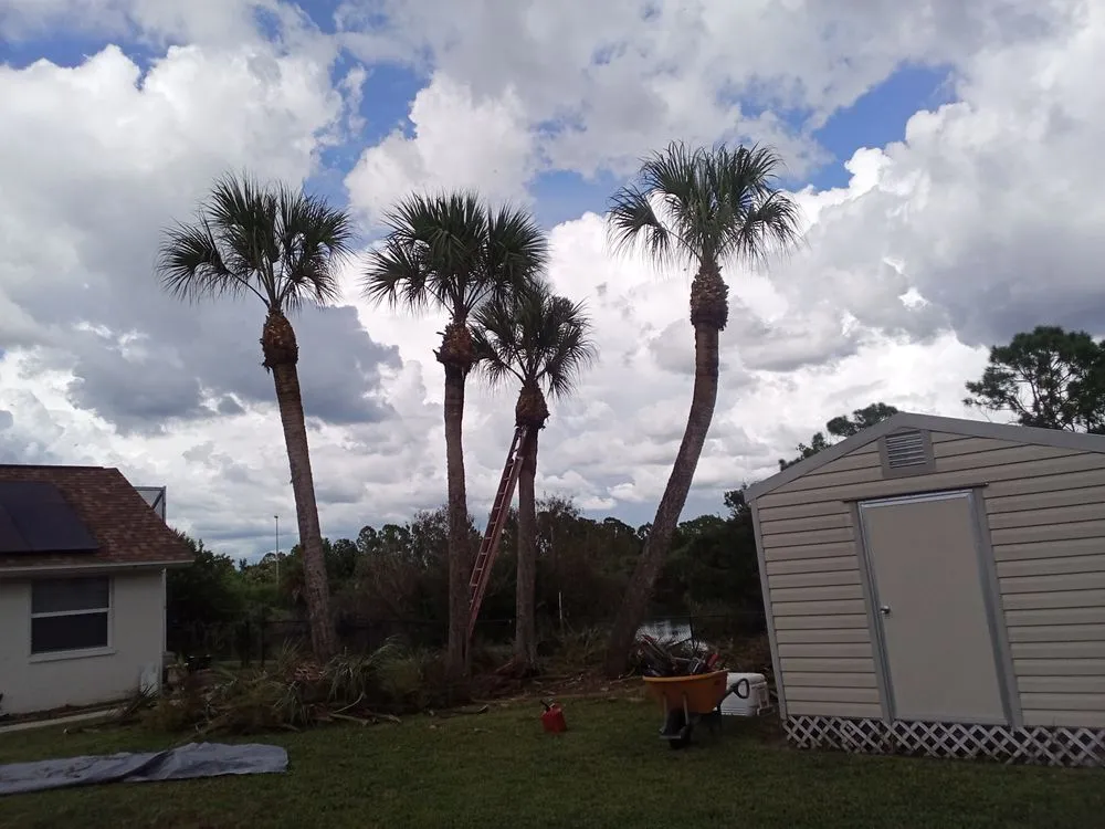 Trusted landscape installation experts serving Port Charlotte, FL - Tito's lawncare and Tree Service