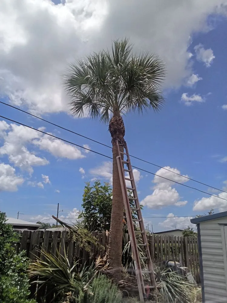 Affordable landscaping services experts serving Port Charlotte, FL - Tito's lawncare and Tree Service