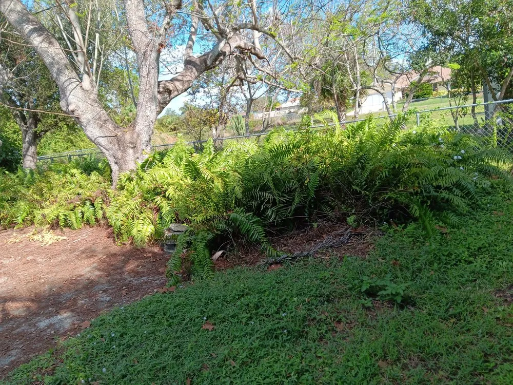 Expert outdoor landscaping for outdoor upgrades across Port Charlotte, FL - Tito's lawncare and Tree Service