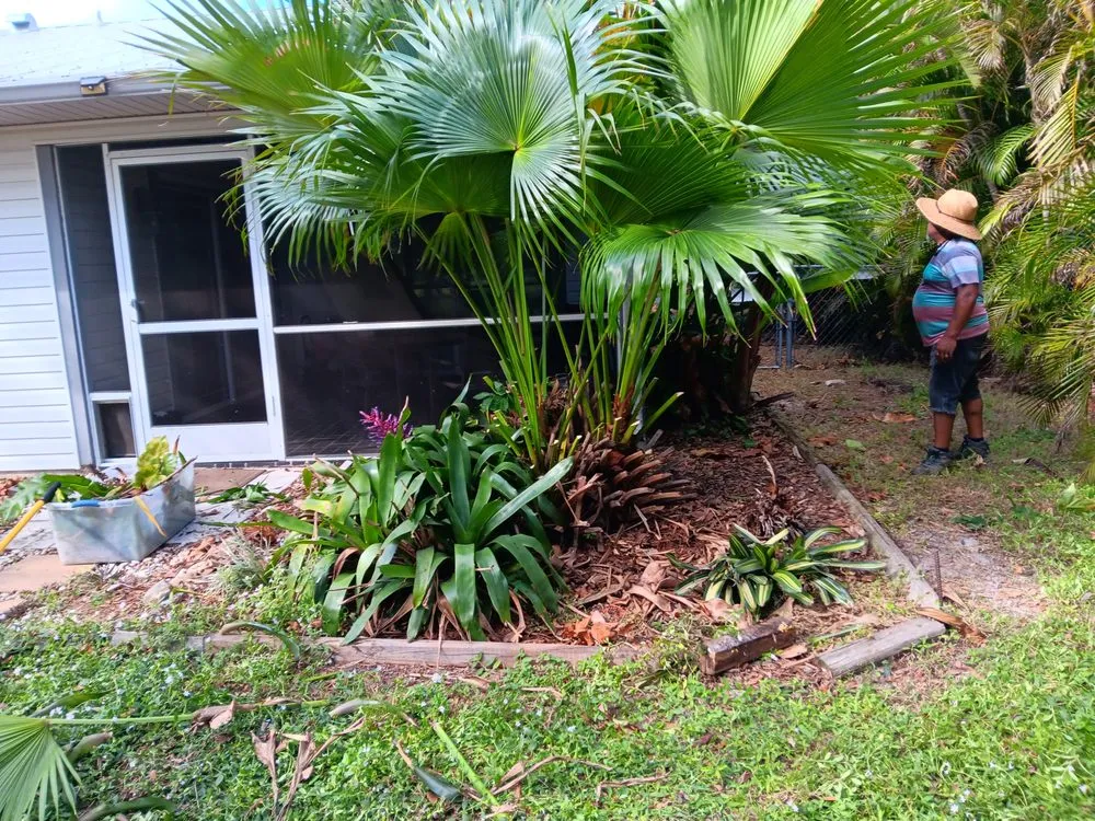 Trusted landscape design in Port Charlotte, FL - Tito's lawncare and Tree Service