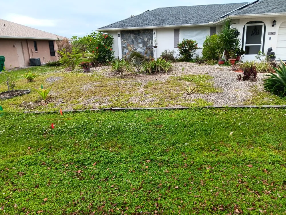 Trusted outdoor landscaping in Port Charlotte, FL - Tito's lawncare and Tree Service