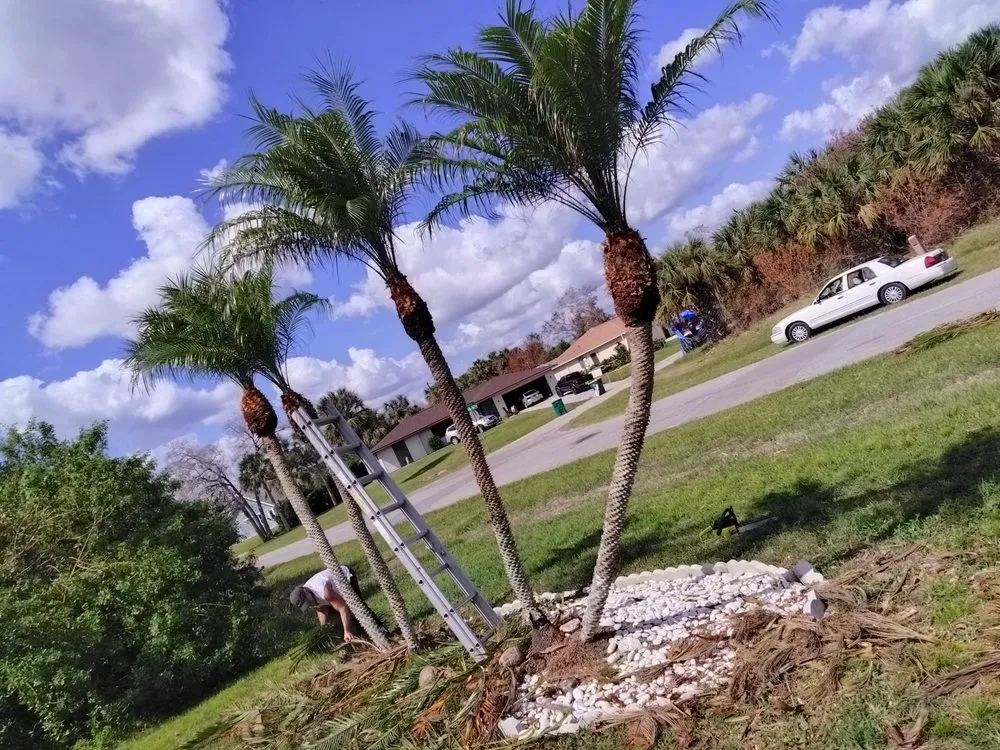 Expert landscape installation for year-round maintenance across Port Charlotte, FL - Tito's lawncare and Tree Service