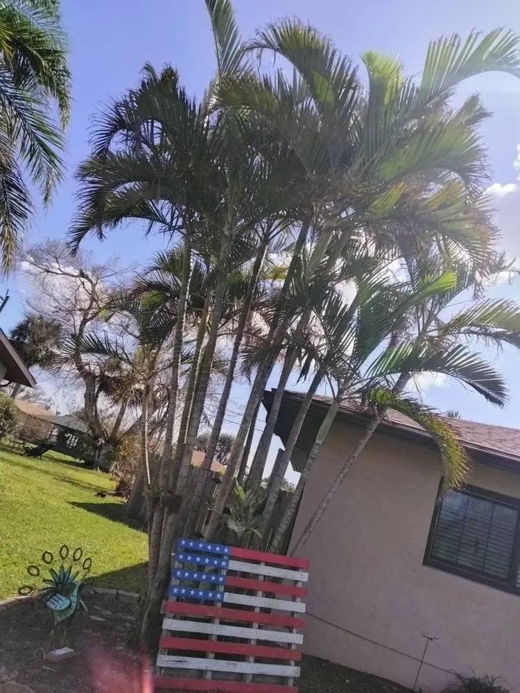 Affordable garden landscaping experts serving Port Charlotte, FL - Tito's lawncare and Tree Service