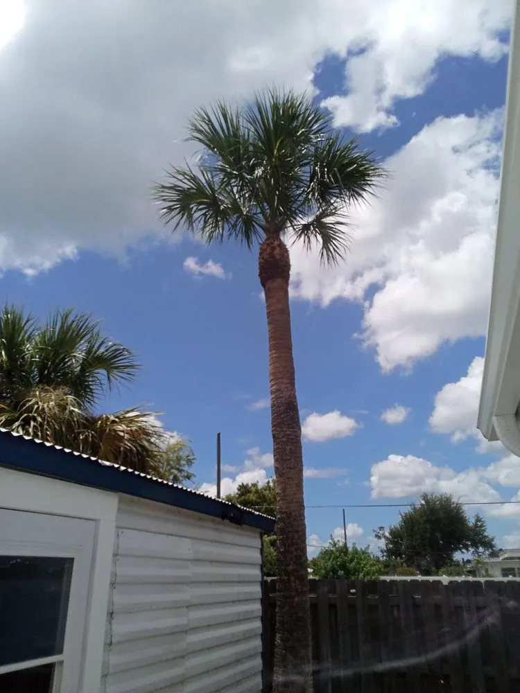 Top-rated landscape design with custom design across Port Charlotte, FL - Tito's lawncare and Tree Service