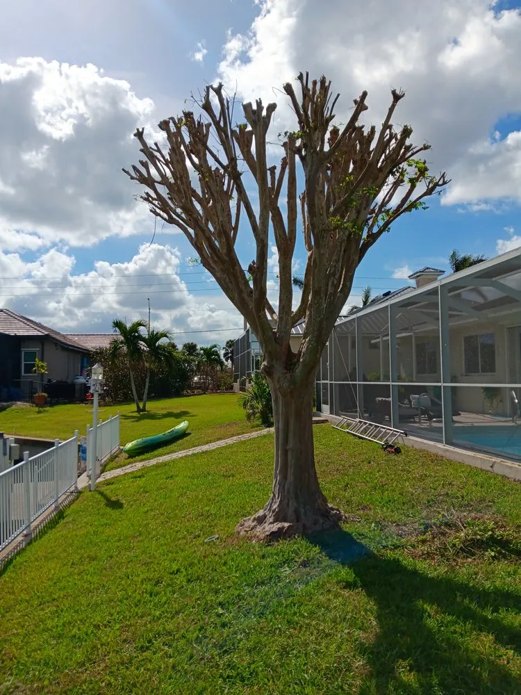 Top-rated lawn mowing service for year-round maintenance in Port Charlotte, FL by Tito's lawncare and Tree Service