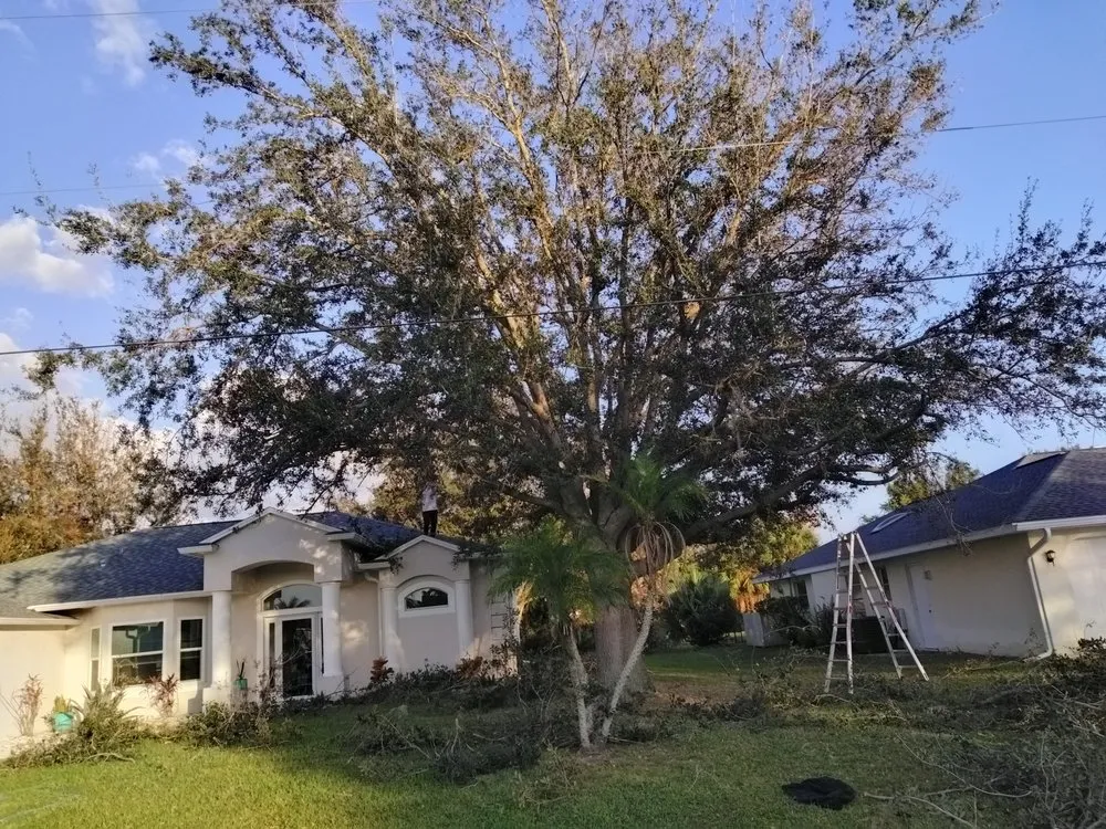 Custom landscape design experts serving Port Charlotte, FL - Tito's lawncare and Tree Service