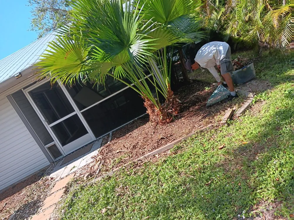 Trusted yard maintenance experts serving Port Charlotte, FL - Tito's lawncare and Tree Service