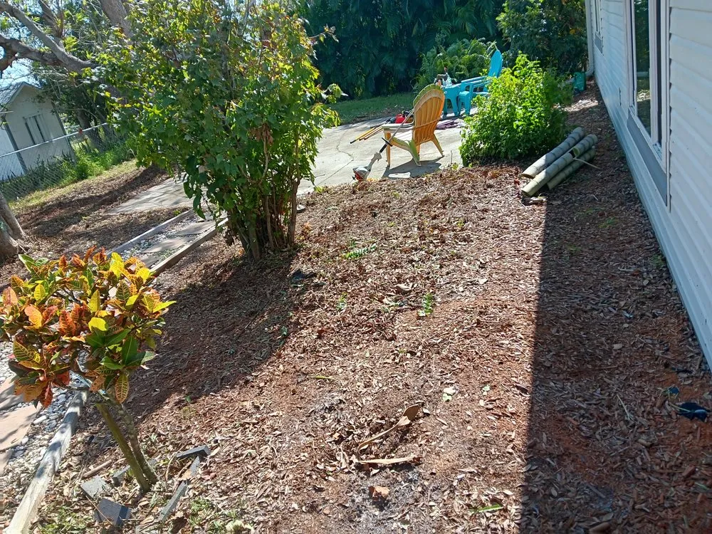 Professional lawn care service in Port Charlotte, FL - Tito's lawncare and Tree Service