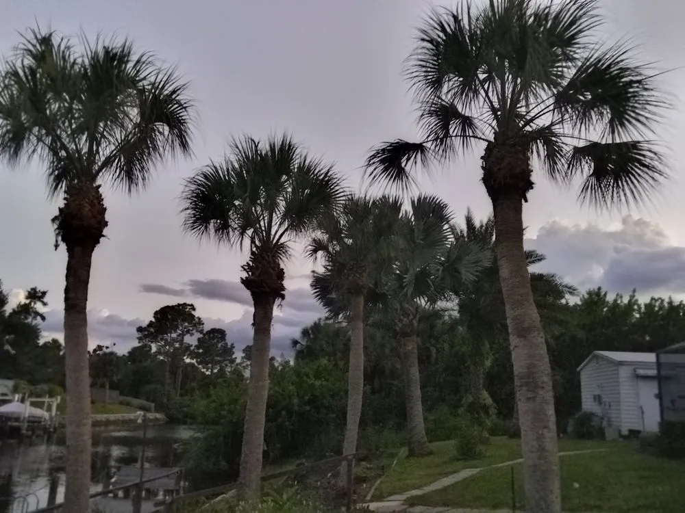 Expert landscape design experts serving Port Charlotte, FL - Tito's lawncare and Tree Service