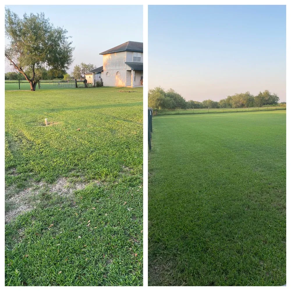 Reliable landscape design with custom design across Harlingen, TX - Tito’s Mowing Services