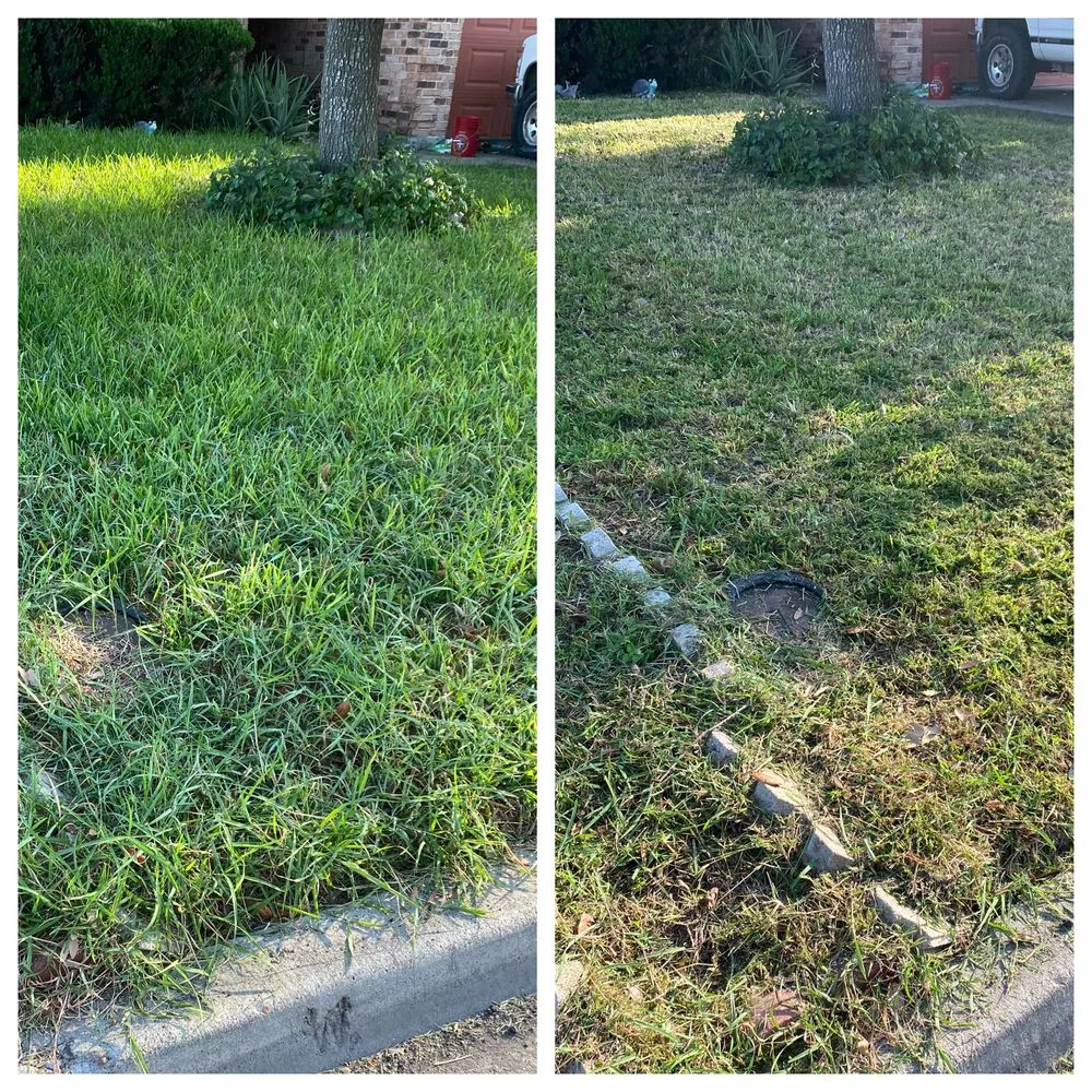 Local garden landscaping for beautiful yards in Harlingen, TX by Tito’s Mowing Services