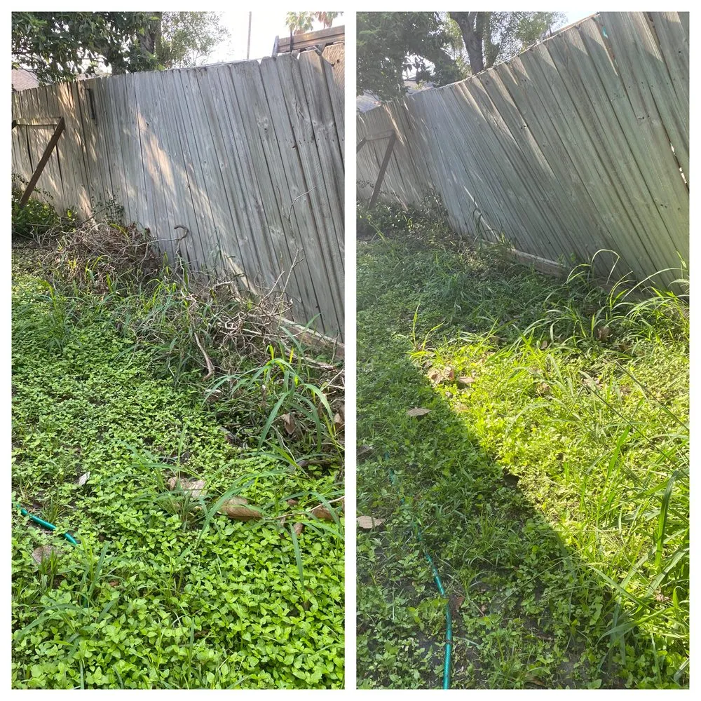 Custom lawn care service experts serving Harlingen, TX - Tito’s Mowing Services