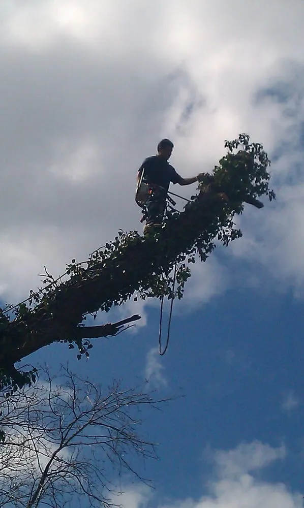 Reliable garden landscaping experts serving Philadelphia, PA - Tito's Tree Care & Landscaping