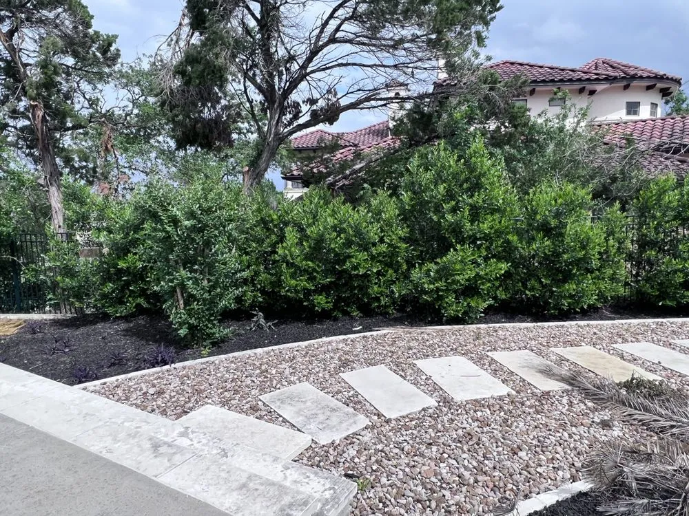 Top-rated yard cleanup service near you across Pflugerville, TX - Tiul's Landscaping and Tree Care Services