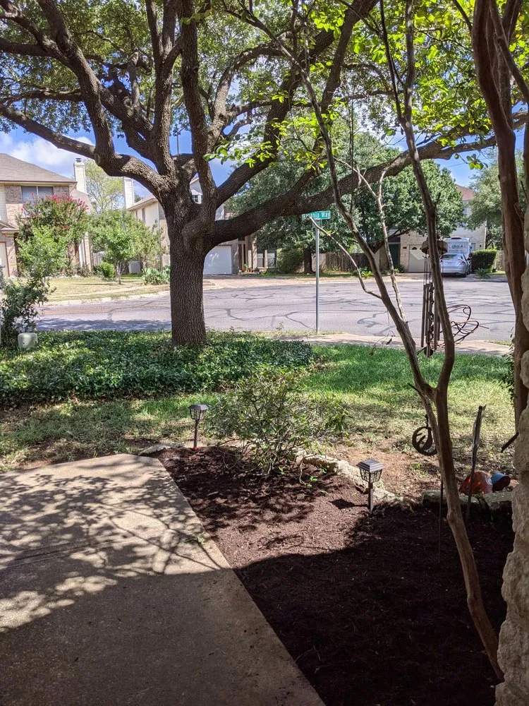 Top-rated yard cleanup service with custom design across Austin, TX - Tiul's Landscaping