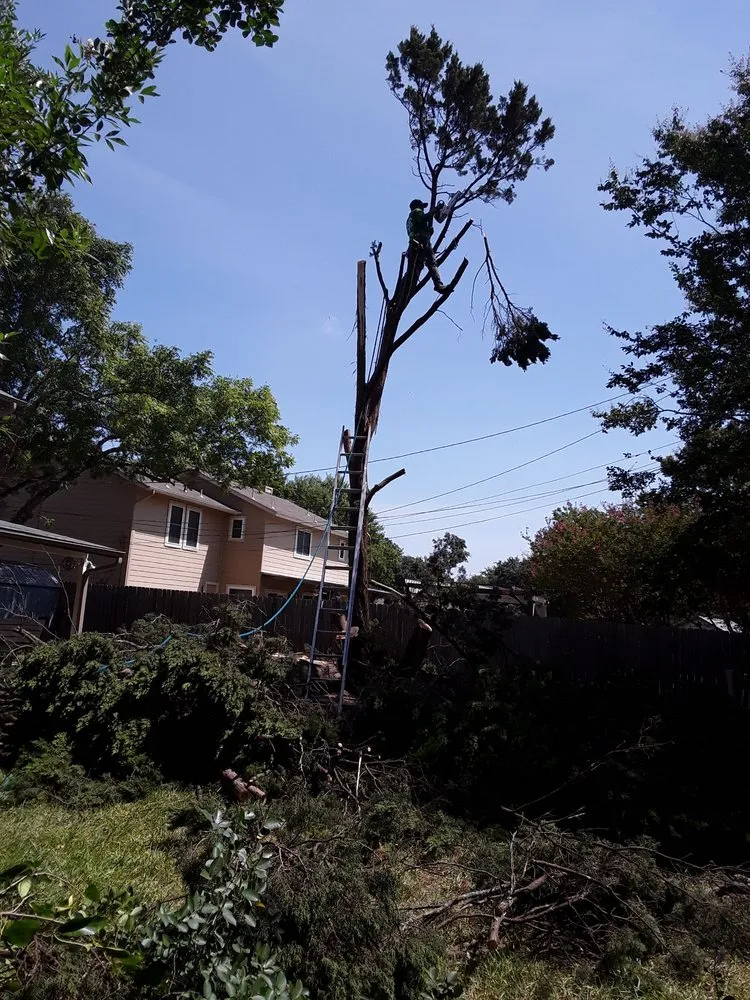 Custom residential landscaping for residential properties across Austin, TX - Tiul's Landscaping