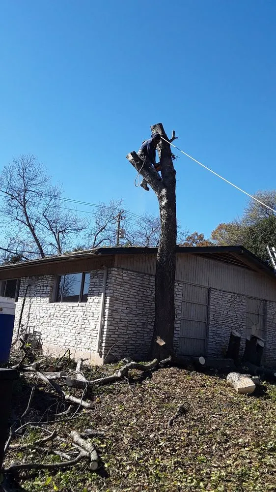 Expert landscape installation for residential properties in Austin, TX by Tiul's Landscaping