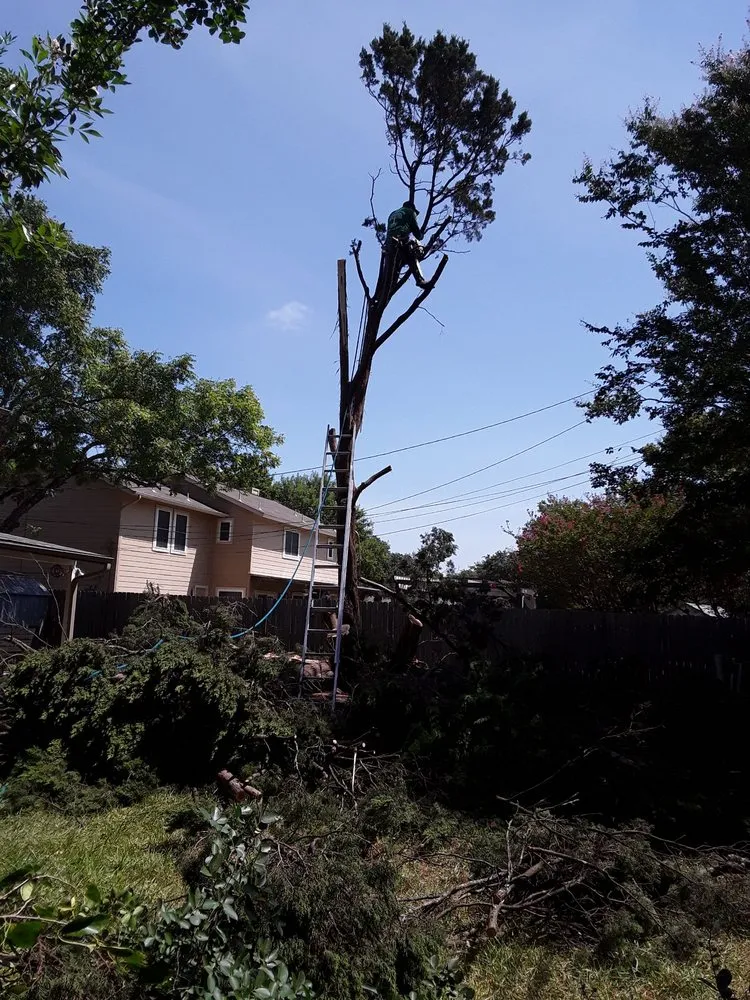 Expert landscape design for outdoor upgrades across Austin, TX - Tiul's Landscaping