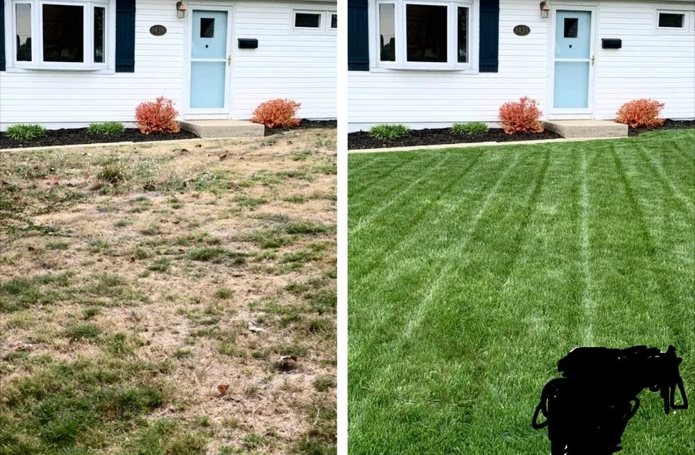 Top-rated lawn care service for year-round maintenance in City of Orange, NJ by Tix Landscaping