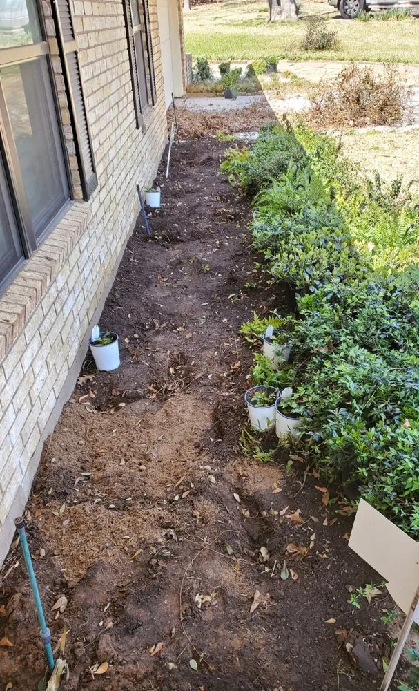 Top-rated yard cleanup service in Denison, TX by T&J Future Lawn Care