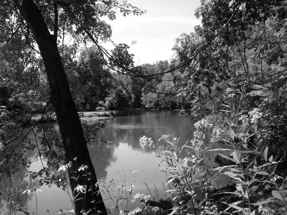 Professional landscape design in Mishawaka, IN by TJ Hauling and Mowing