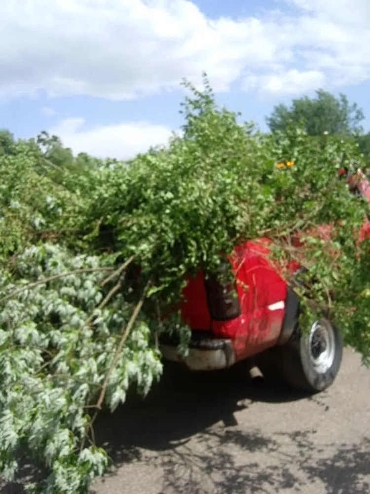 Expert landscaping services experts serving Mishawaka, IN - TJ Hauling and Mowing