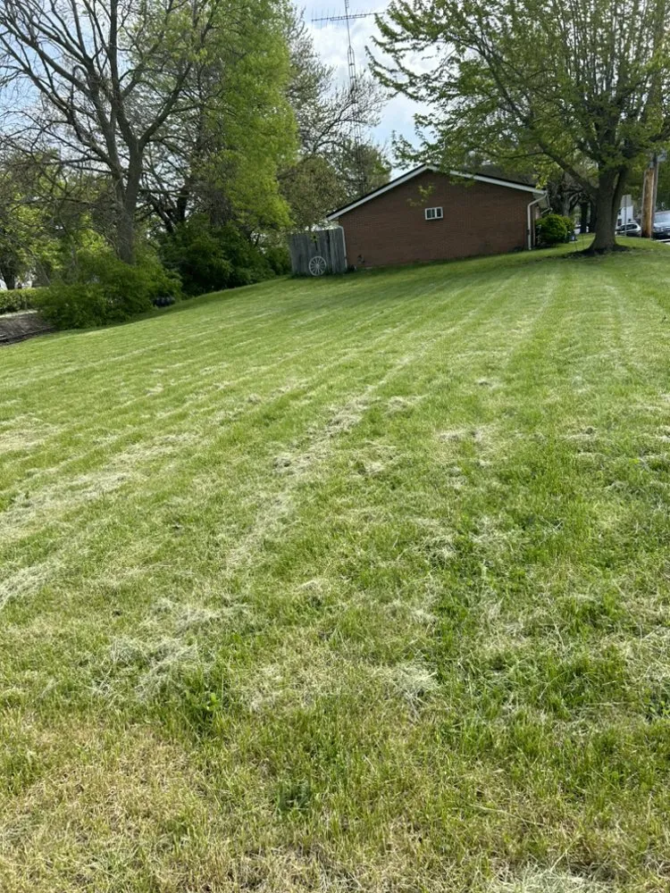 Trusted landscaping services for year-round maintenance across Versailles, OH - T&J Home Solutions