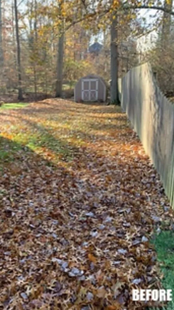 Local residential landscaping experts serving Versailles, OH - T&J Home Solutions