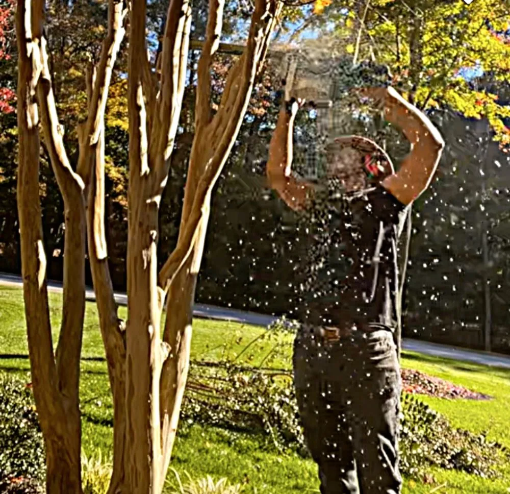 Local yard cleanup service in Garner, NC - TJ House improvement