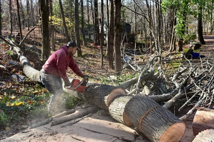 Affordable yard maintenance in Norwalk, CT - T&J Landscaping and Masonry