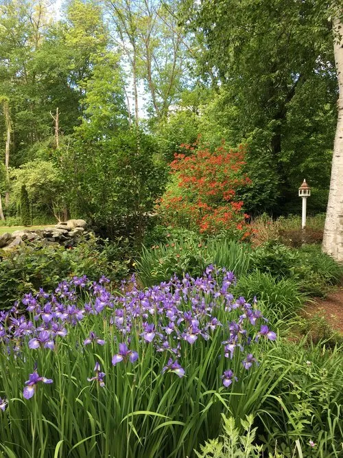 Trusted yard cleanup service in Norwalk, CT by T&J Landscaping and Masonry