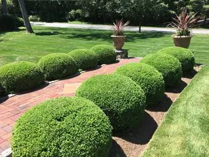 Custom yard maintenance in Norwalk, CT by T&J Landscaping and Masonry