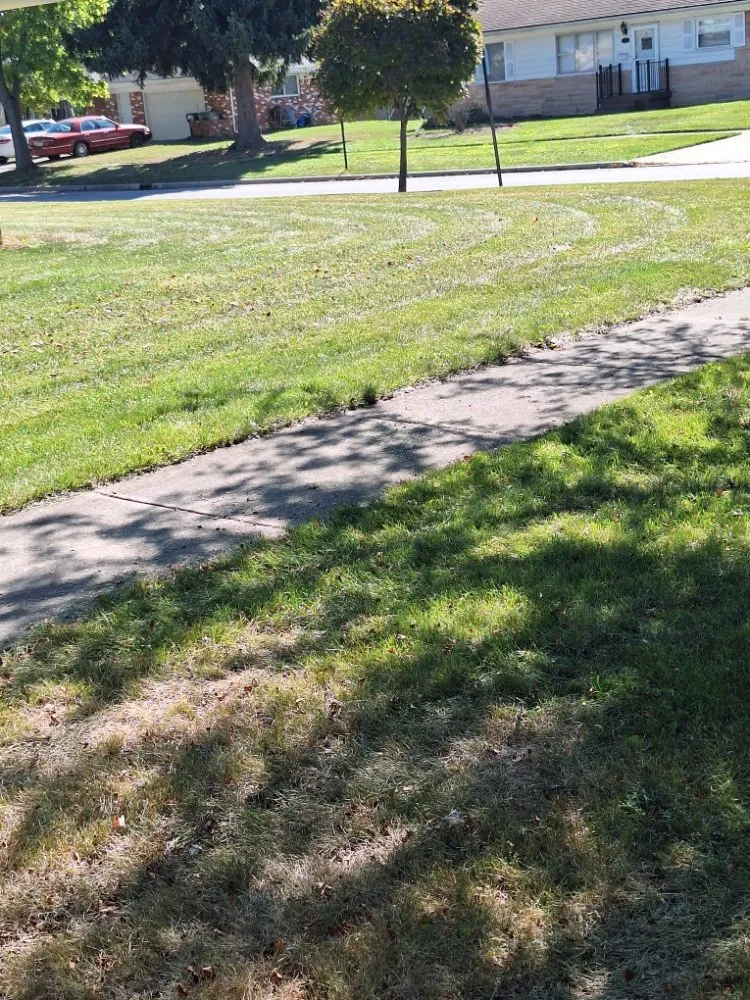 Top-rated landscaping services for beautiful yards in Toledo, OH by T&J Landsccaping