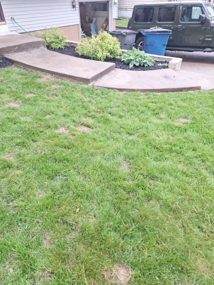 Expert yard cleanup service in Toledo, OH by T&J Landsccaping