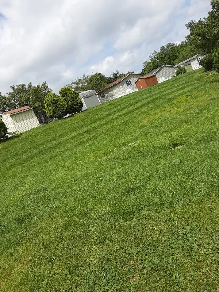 Affordable landscape installation in Elkridge, MD by Tj Lawn Care And Power Washing