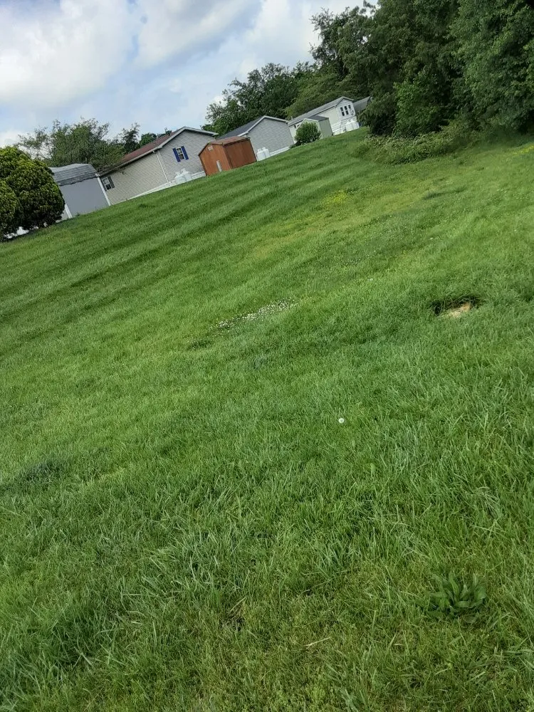 Professional landscape design near you in Elkridge, MD by Tj Lawn Care And Power Washing