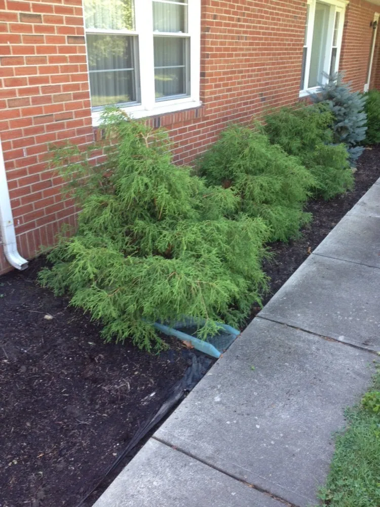 Reliable landscape installation with custom design across Lapel, IN - TJ Lawn Care