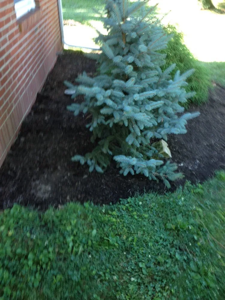Trusted garden landscaping in Lapel, IN - TJ Lawn Care