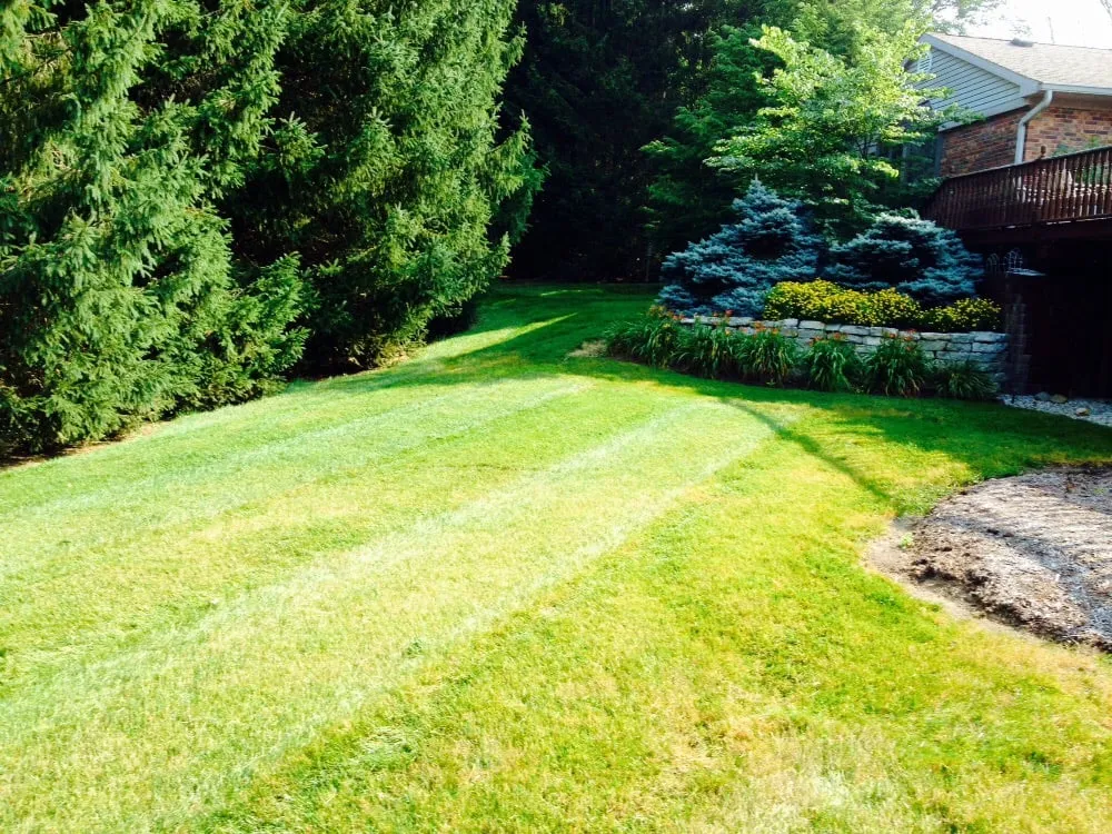 Professional residential landscaping experts serving Lapel, IN - TJ Lawn Care