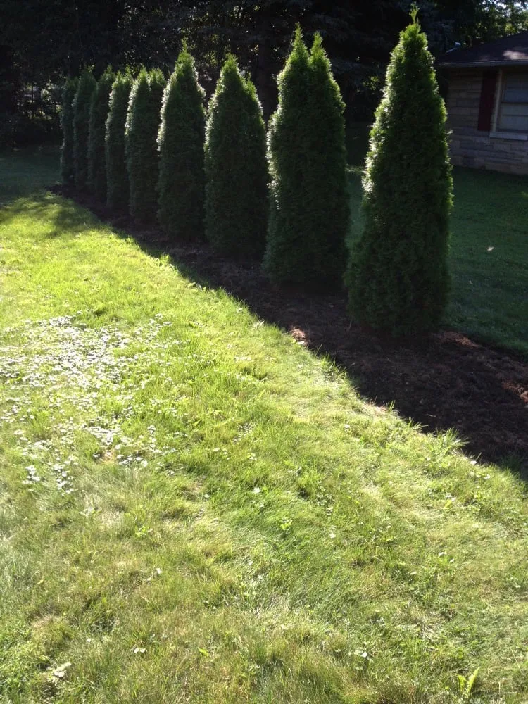 Custom landscape design in Lapel, IN - TJ Lawn Care