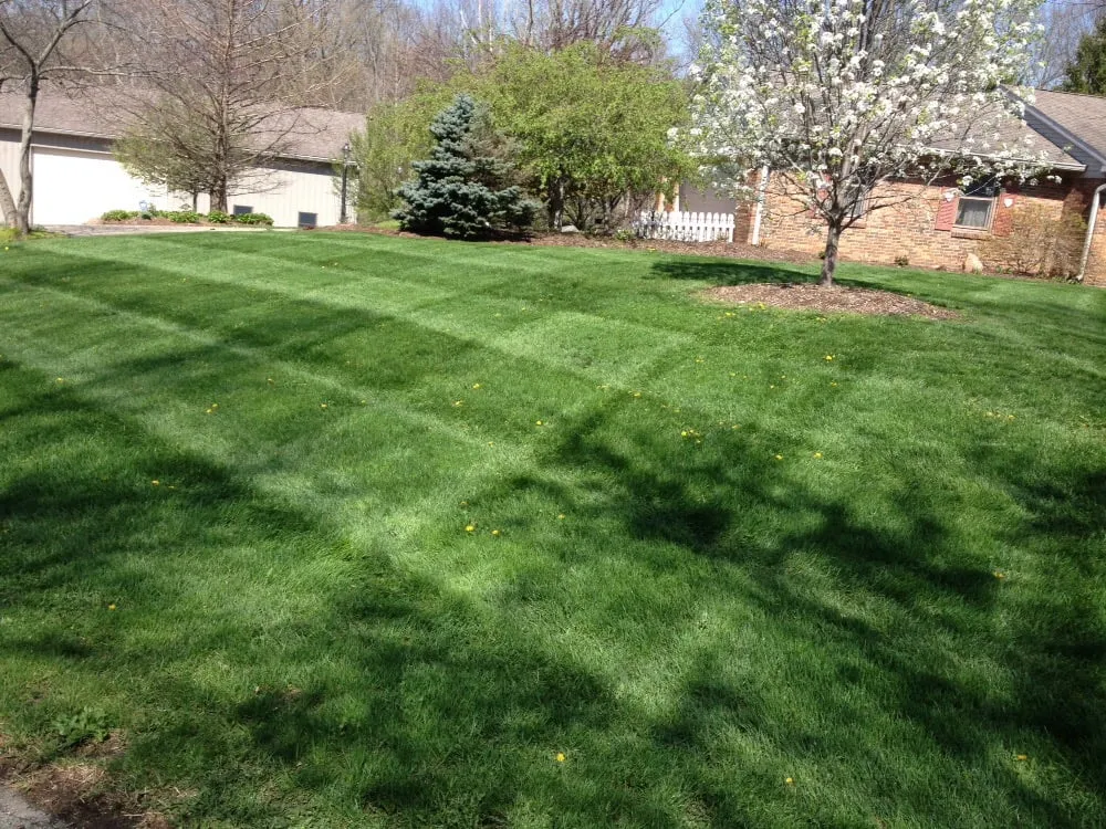 Professional lawn mowing service in Lapel, IN - TJ Lawn Care