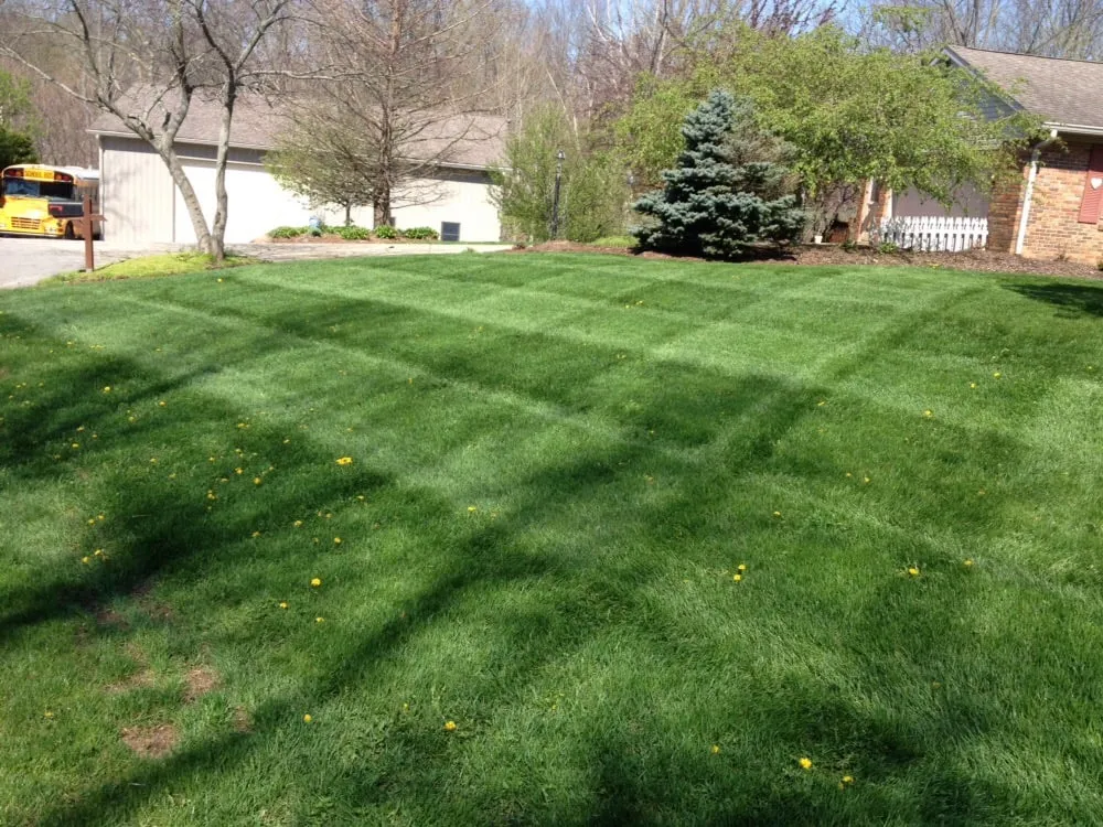 Local lawn mowing service in Lapel, IN - TJ Lawn Care