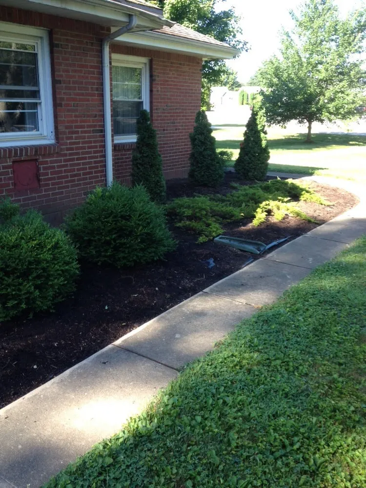 Affordable lawn mowing service in Lapel, IN - TJ Lawn Care