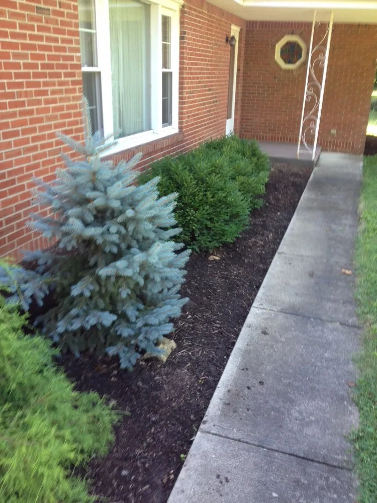 Expert outdoor landscaping for residential properties in Lapel, IN by TJ Lawn Care