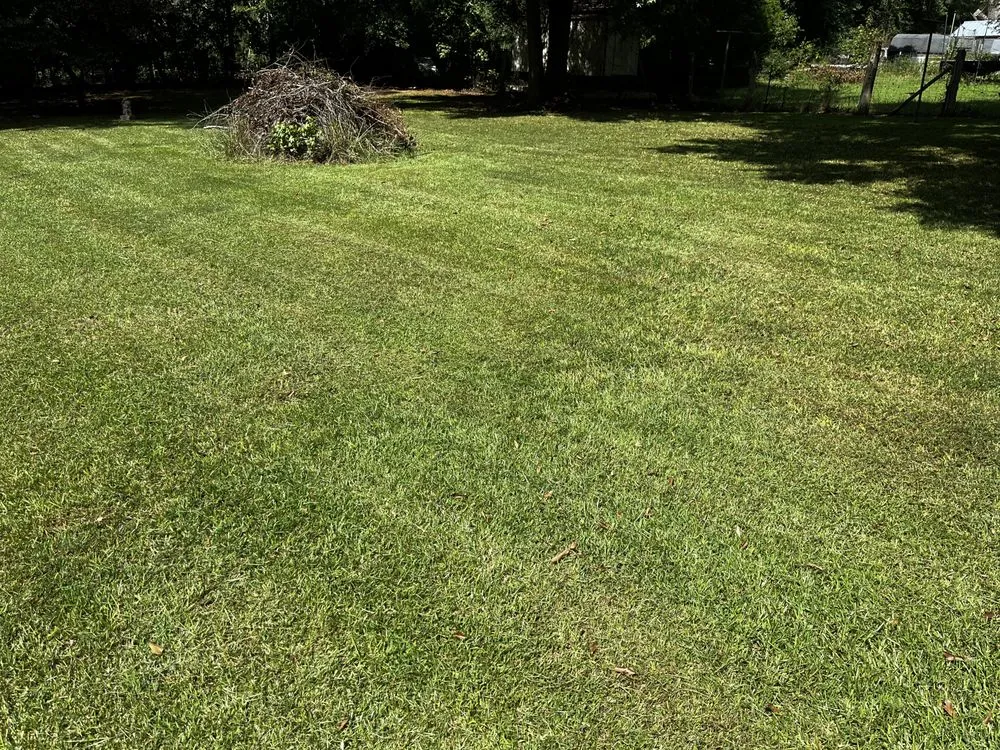 Top-rated yard maintenance experts serving Iva, SC - T&J Lawn Care Services & More