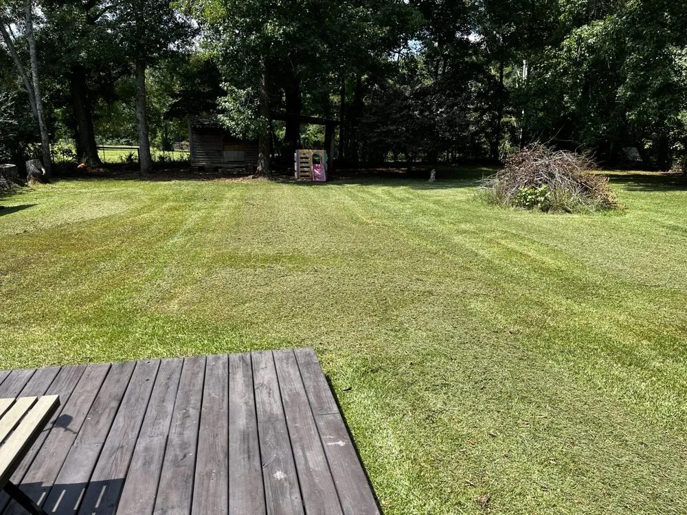 Local residential landscaping experts serving Iva, SC - T&J Lawn Care Services & More