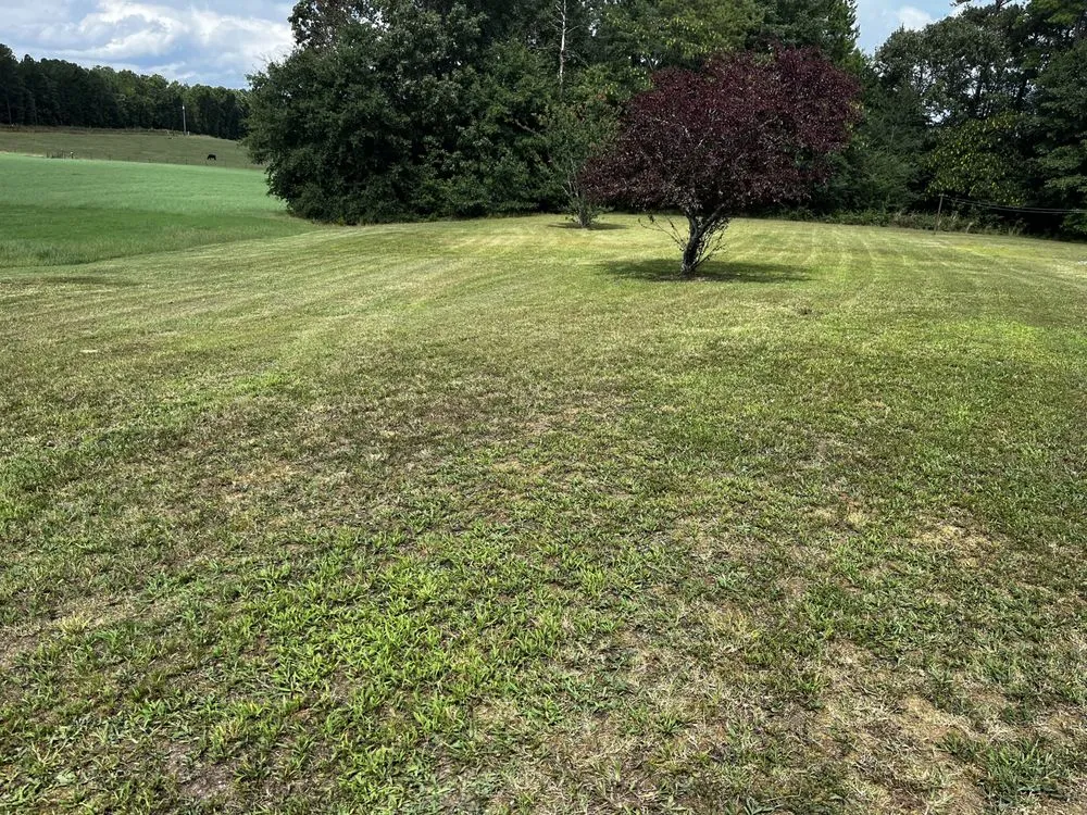 Trusted lawn care service for homes in Iva, SC by T&J Lawn Care Services & More